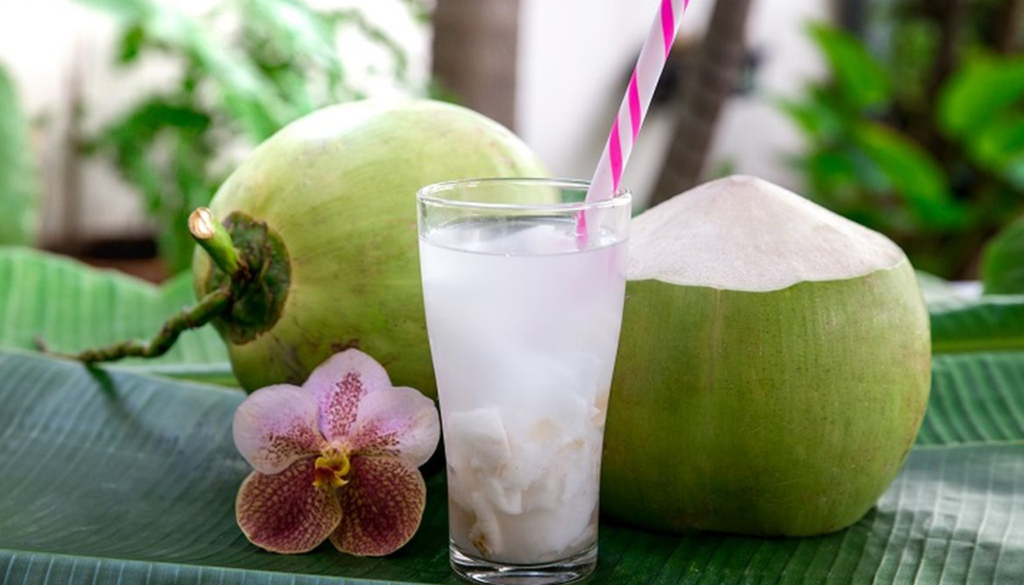 Minuman Tradisional Indonesia kelapa muda